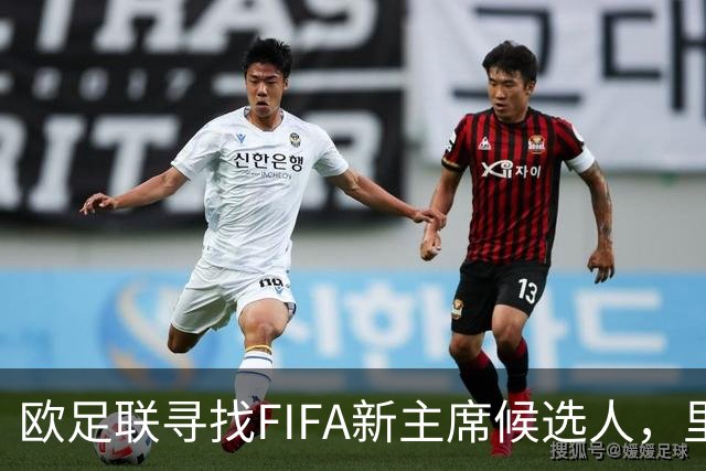 欧足联寻找FIFA新主席候选人，里昂女老板拒邀再引关注